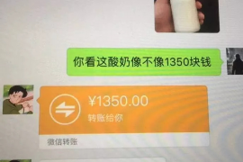 德阳德阳的要账公司在催收过程中的策略和技巧有哪些？